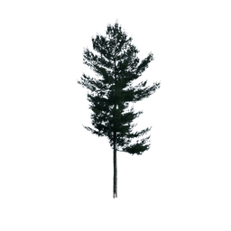 NEK Ops logo